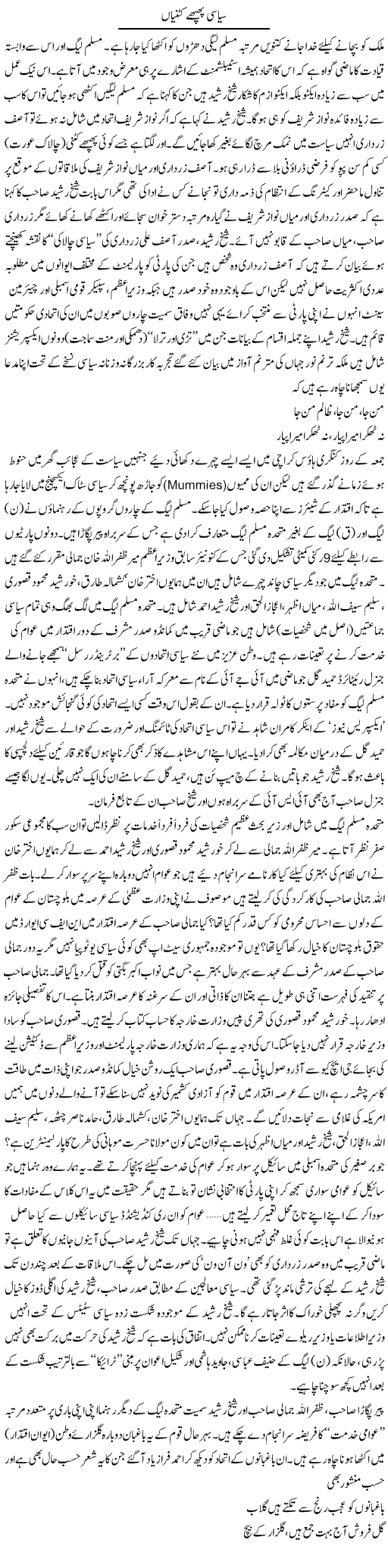 Political Plans Express Column Tahir Sarwar 1 November 2010