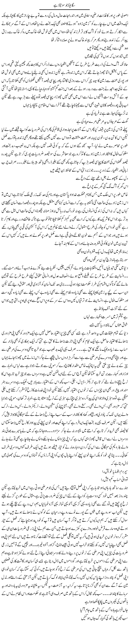 Saga Baita Jo Sotaila Hai | Saad Ullah Jan Barq | Daily Urdu Columns
