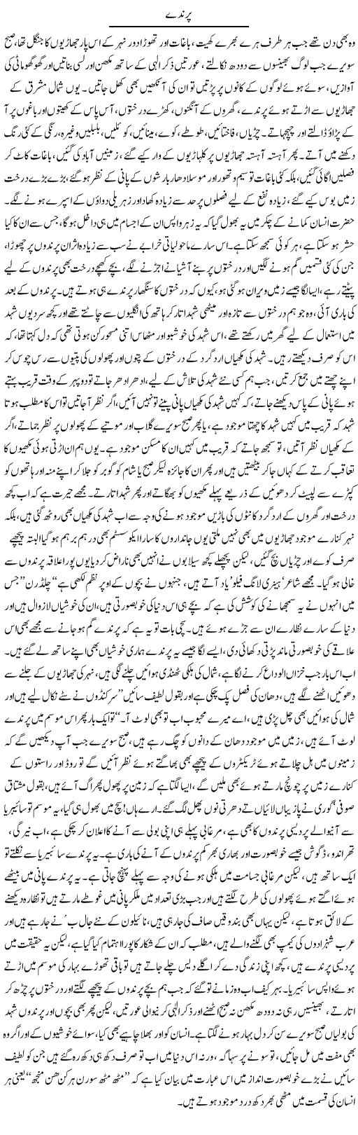 Parinday | Manzoor Mallah | Daily Urdu Columns