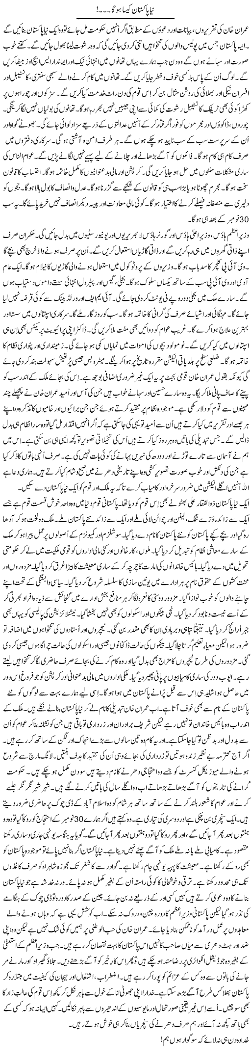 Naya Pakistan Kaisa Hoga..! | Dr. Mansoor Noorani | Daily Urdu Columns