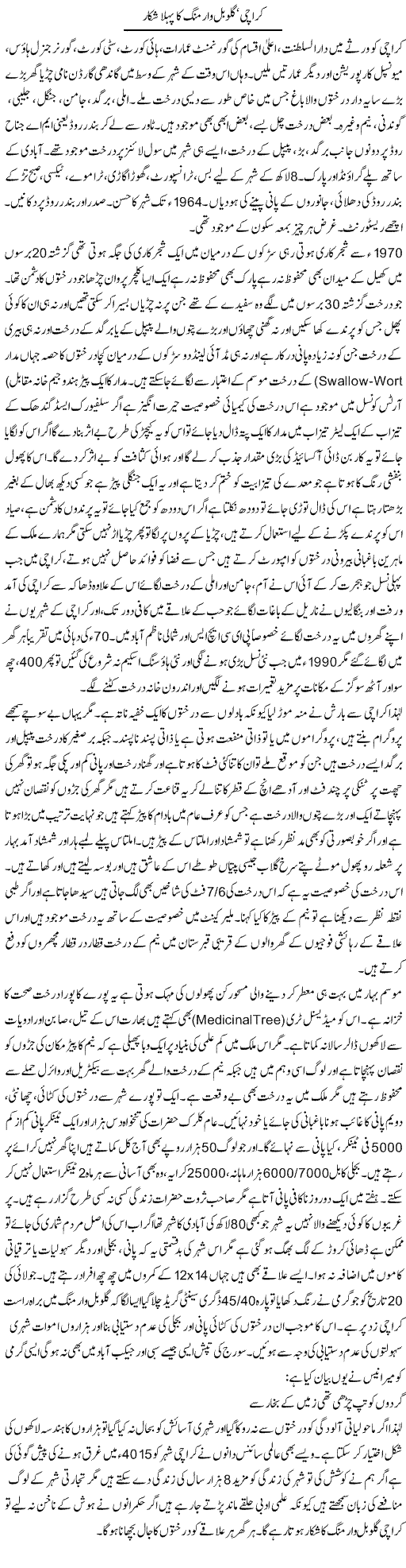 Karachi, Globle Warming Ka Pehla Shikaar | Anees Baqar | Daily Urdu Columns