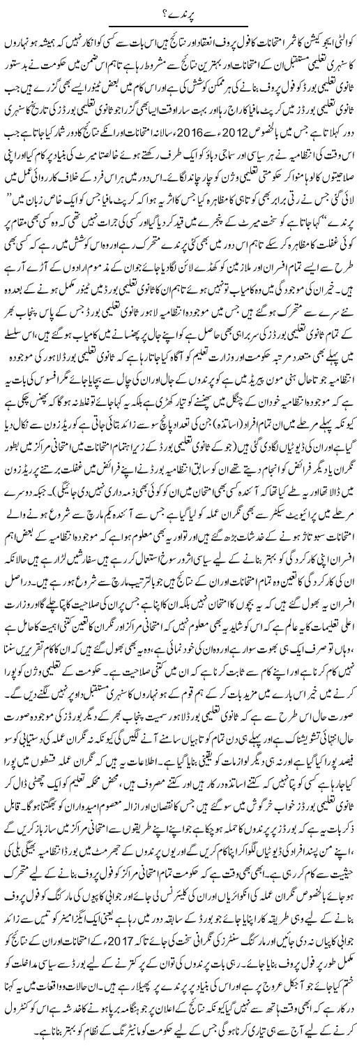 Parinday? | Yousaf Abbasi | Daily Urdu Columns