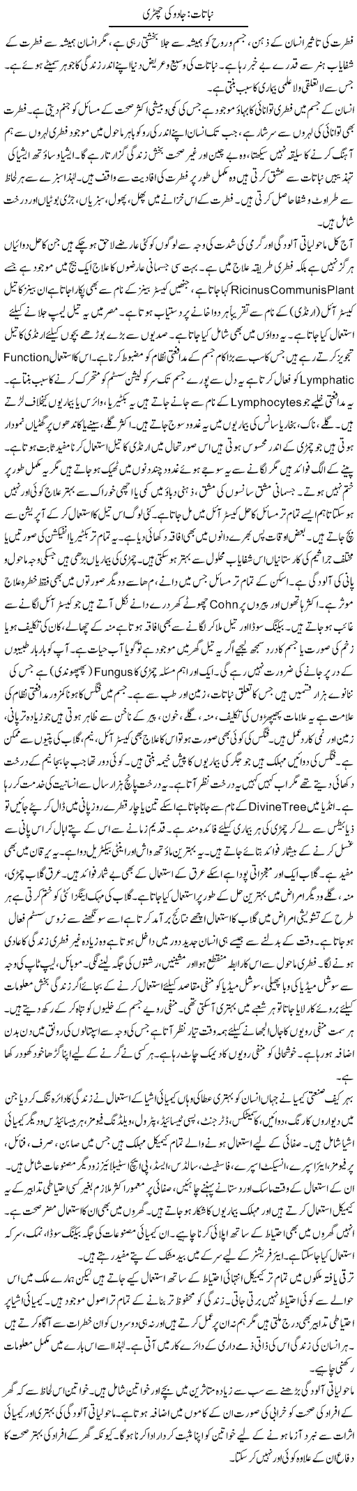 Nabataat: Jaadu Ki Chari | Shabnam Gull | Daily Urdu Columns